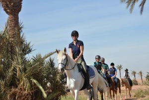 Marrakech: passeio a cavalo por Palm Grove