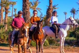 Marrakech: Palm Grove Ridningstur på hästryggen