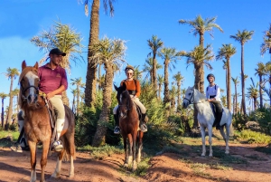 Marrakech: Palm Grove Horseback Riding Tour