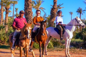 Marrakech: Palm Grove Horseback Riding Tour