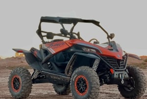 Marrakech: Palm Grove Sunset Buggy Tour