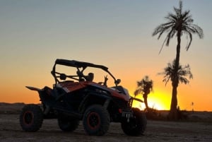 Marrakech: Palm Grove Sunset Buggy Tour