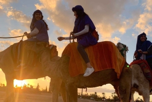 Marrakech palm grove: Sunset camel ride