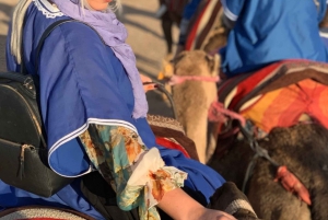 Marrakech palm grove: Sunset camel ride