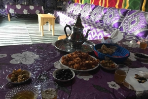 Marrakech palm grove: Sunset camel ride