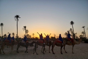 Marrakech palm grove: Sunset camel ride
