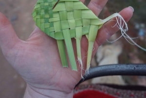 Marrakech palm grove: Sunset camel ride