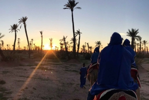 Marrakech palm grove: Sunset camel ride