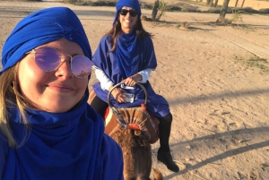 Marrakech palm grove: Sunset camel ride