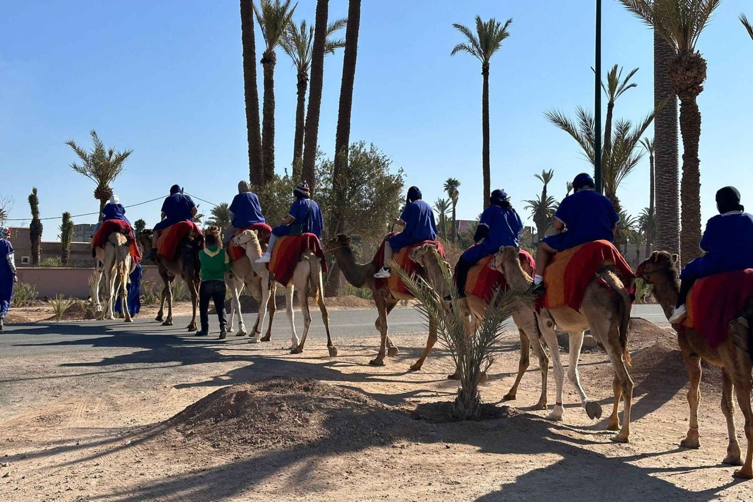 Marrakech Palmeraie Camel Ride Adventure