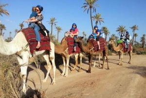 Marrakech Palmeraie: kameelrit bij zonsondergang