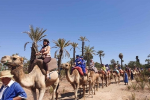 Palmeraie de Marrakech: paseo en camello al atardecer