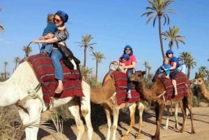 A partir de Marraquexe: Safari de meio dia Passeio de camelo no palmeiral