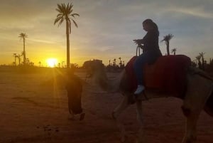 A partir de Marraquexe: Safari de meio dia Passeio de camelo no palmeiral
