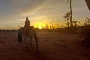 A partir de Marraquexe: Safari de meio dia Passeio de camelo no palmeiral