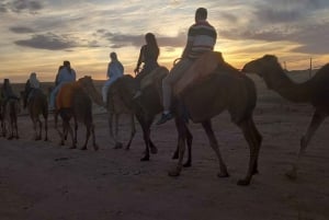 A partir de Marraquexe: Safari de meio dia Passeio de camelo no palmeiral