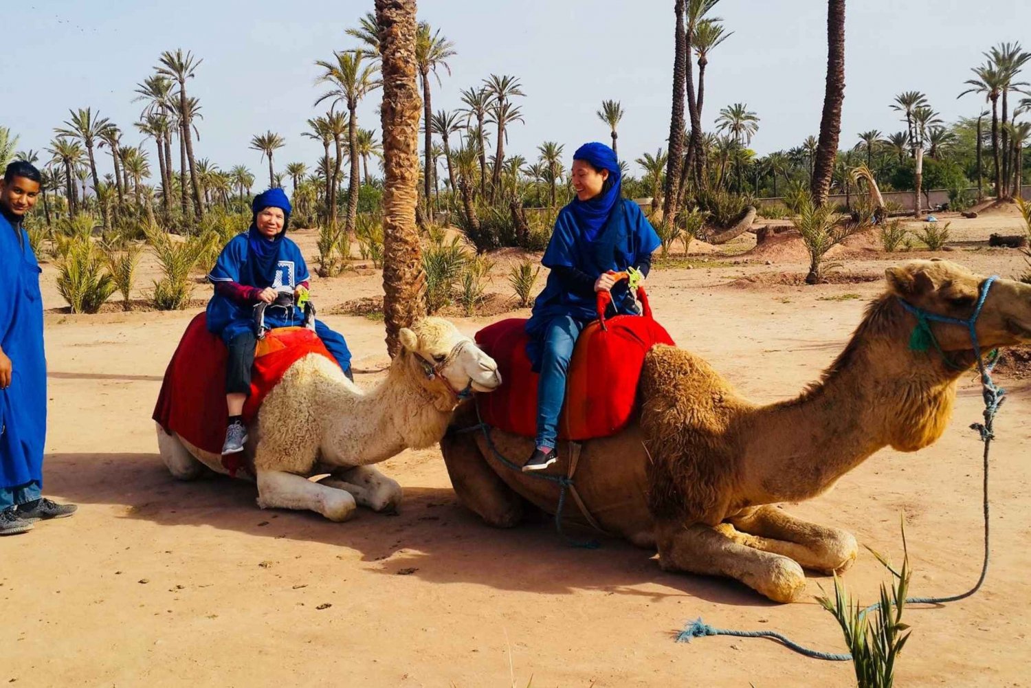 Palmeraie di Marrakech: giro in cammello e attività in quad