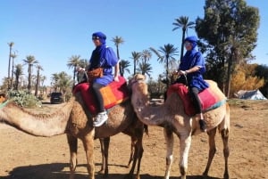 Palmeraie de Marrakech: Passeio de Camelo e Quadriciclo