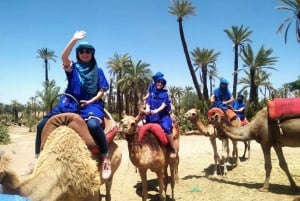 Marrakech Palmeraie: Upplevelse med kameltur och fyrhjuling
