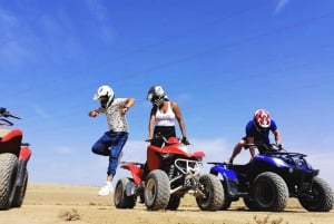Marrakech: Kamelridning i Palmeraie og ATV-tur