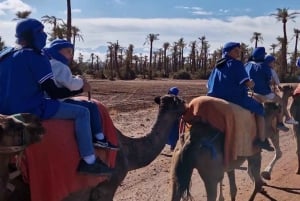 Марракеш: прогулка на верблюде в Пальмерайе и традиционный марокканский спа-салон