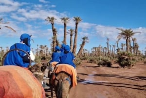 Марракеш: прогулка на верблюде в Пальмерайе и традиционный марокканский спа-салон