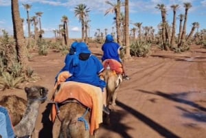 Марракеш: прогулка на верблюде в Пальмерайе и традиционный марокканский спа-салон