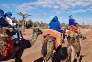 Марракеш: прогулка на верблюде в Пальмерайе и традиционный марокканский спа-салон