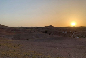 Marrakech: Palmeraie Desert Sunset Camel Ride with Mint Tea