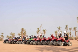 Marrakech: Guidad fyrhjulingstur i Palmeraie med tebjudning