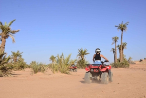 Marrakech : Visite guidée de la Palmeraie en quad avec pause thé