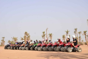 Marrakech : Visite guidée de la Palmeraie en quad avec pause thé