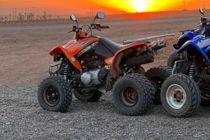 Marrakesch: Private Quad-Tour in der Palmeraie