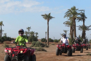 Odkryj palmowy gaj Marrakeszu na quadach