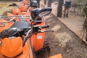 Odkryj palmowy gaj Marrakeszu na quadach