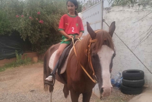 Odkryj palmowy gaj Marrakeszu na quadach