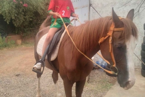 Odkryj palmowy gaj Marrakeszu na quadach