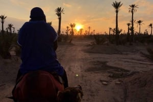 Marrakech Palmeraie: Sunset Camel Ride