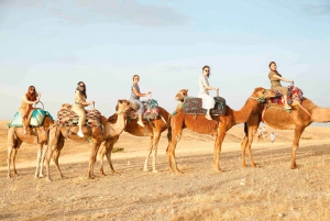 Marrakech: Premium Desert Agafay & Berber Villages Day Trip
