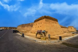 Marrakesch: Private Tagestour nach Agadir und zum Krokodilpark