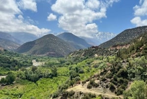 Marrakech: ourika valley lunch & guided hike to waterfalls