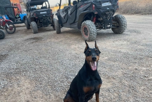 Marrakech: Privat buggytur i Agafayöknen