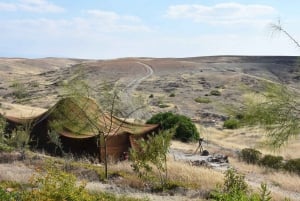 Marrakech: Privat dagstur til ørkenen Agafay og Atlasbjergene