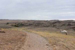 Marrakech: Privat dagstur til ørkenen Agafay og Atlasbjergene