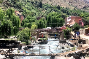 Marrakech: Privat dagstur til ørkenen Agafay og Atlasbjergene