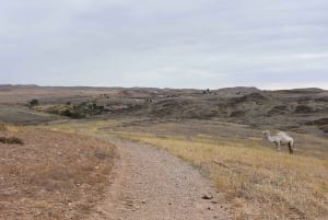 Marrakech: Private Day Trip Desert Agafay & Atlas Mountains