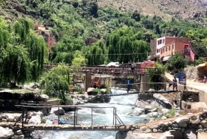 Marrakech: Private Day Trip Desert Agafay & Atlas Mountains