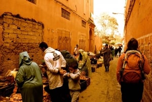 Marrakesz: Prywatna całodniowa wycieczka po mieście