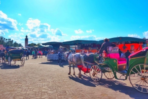 Marrakech: Private Half-Day City Highlights Tour