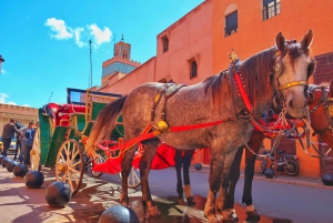 Marrakech: Private Half-Day City Highlights Tour